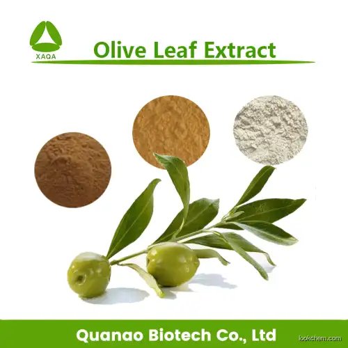 100% Natural Olive leaf extract powder Oleuropein 40% CAS: 32619-42-4