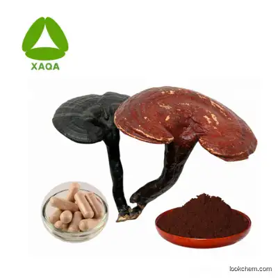 Best Ganoderma Lucidum Spore Powder / capsule from ganoderma extract price
