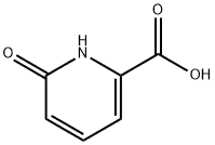 6-Hydroxypicolinic acid
