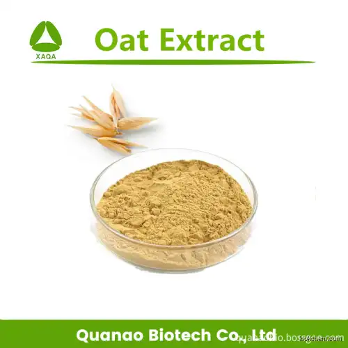 Dietary Supplement Oat Extract Avena Sativa Extract Dextran Powder