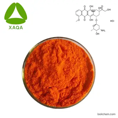 High quality Doxorubicin hydrochloride Powder