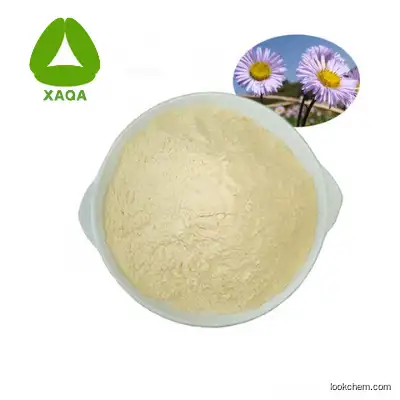 Erigeron Breviscapus Extract 95% Breviscapine Powder