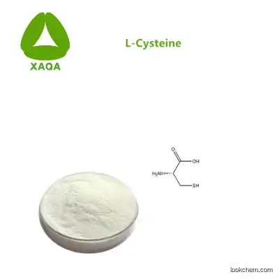 Factory Supply Food Grade L-Cysteine /N-Acetyl 99% Powder