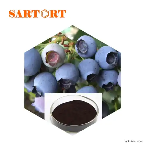 Factory Supply Bilberry Extract Natural Supplier Anthocyanidins Vaccinium myrtillus extract