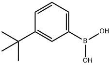 3-tert-Butylbenzene boronic acid