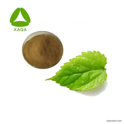 High Quality Mulberry Leaf Extract 5% 1-Deoxynojirimycin Powder
