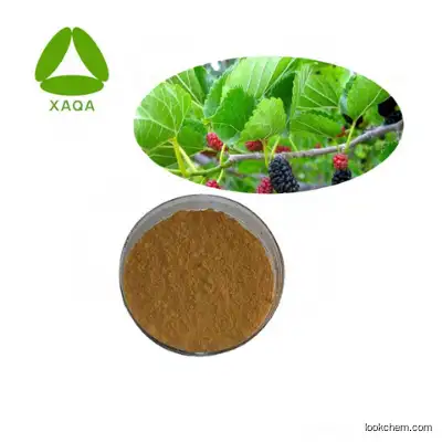 High Quality Mulberry Leaf Extract 5% 1-Deoxynojirimycin Powder