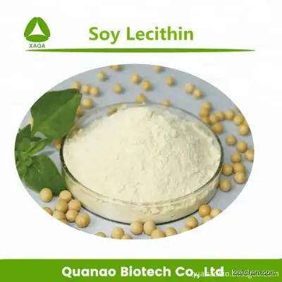 Health Care Product Soybean Extract Soy Lecithin Powder 90% HPLC