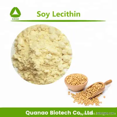 Health Care Product Soybean Extract Soy Lecithin Powder 90% HPLC