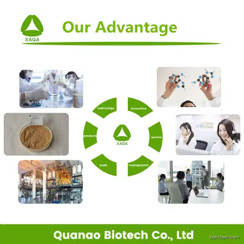 Quanao supply Thermopsis lanceolate Extract 98% Cytisine Powder Cas:485-35-8