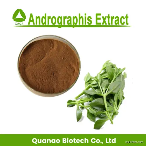 100% Pure Andrographis Paniculata Extract powder 98% Andrographolide powder