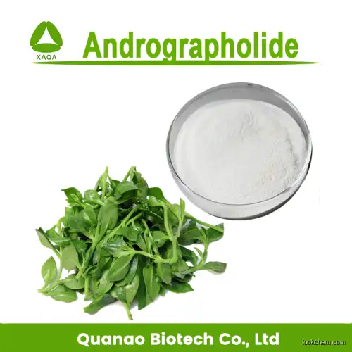Pure Andrographis Paniculata Extract powder 10% Andrographolide powder