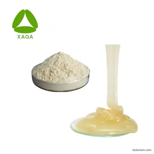Soybean Extract Phytosterol Ester 60% Powder