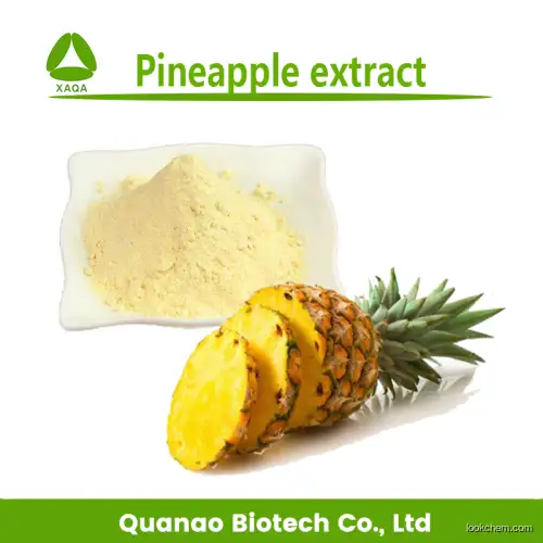Food Grade Pineapple Extract Bromelain Powder Enzyme