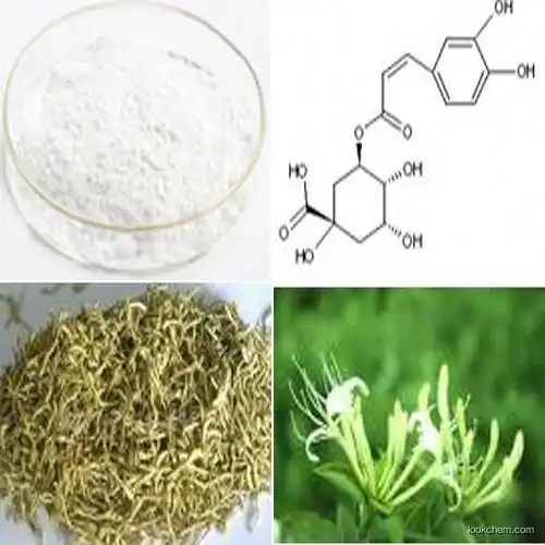 Honeysuckle extract Chlorogenic acid10%