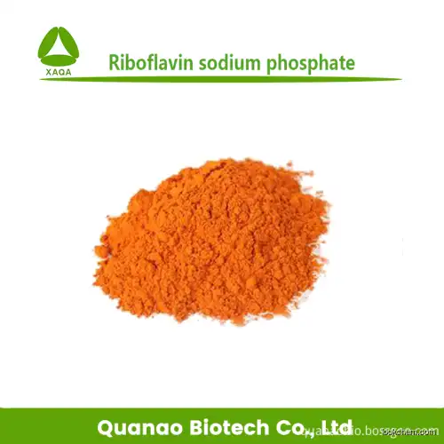 Food additive Riboflavin sodium phosphate Vitamin b2 free sample