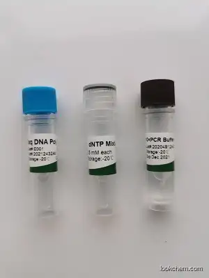 Hot sale China product Taq DNA Polymerase (with Mg+2)