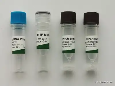 Hot sale China product Taq DNA Polymerase (with Mg+2)
