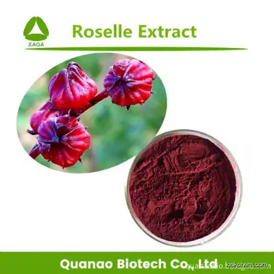 Roselle Extract / Hibiscus Sabdariffa Extract Hibiscetin Powder