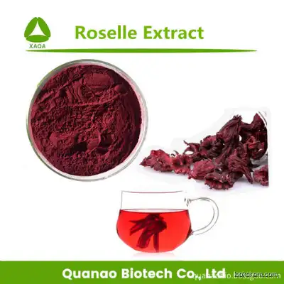 Roselle Extract / Hibiscus Sabdariffa Extract Hibiscetin Powder
