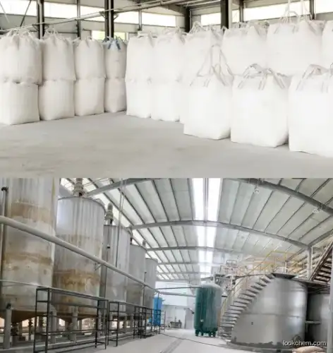 Factory Supply Calcium Supplements Raw Material Powder CAS 471-34-1 Calcium Carbonate