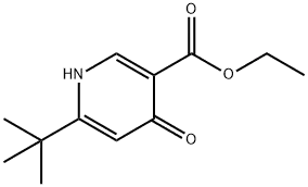 6-tert-butyl-1,4-Dihydro-4-oxo-3-pyridinecarboxylic acid ethyl ester