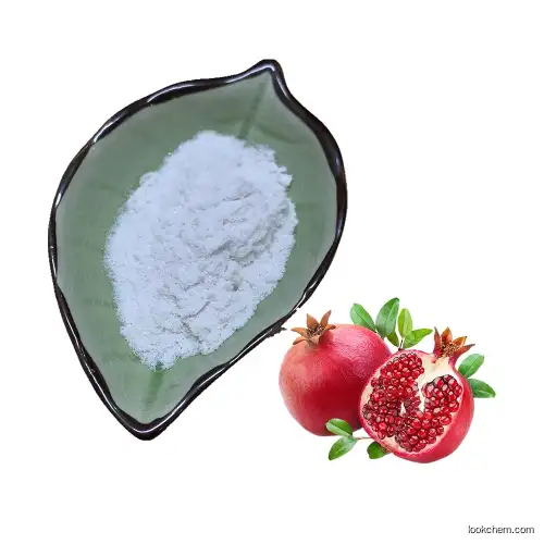 High Purity 99% Pomegranate Peel Extract Powder Ellagic Acid