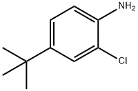 4-tert-butyl-2-chloroaniline