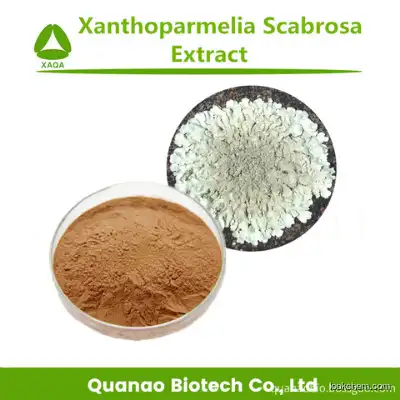 Lichen Extract Xanthoparmelia Scabrosa Extract Powder 10:1