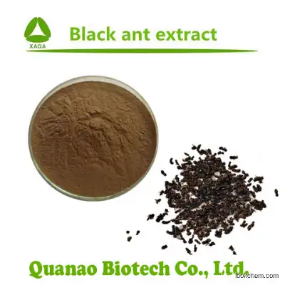 Black Ant Extract Powder Polyrhachis Vicina Roger Extract
