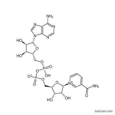 β-Nicotinamide adenine dinucleotide/ 53-84-9