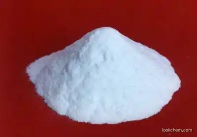 Factory Supply 100% Pure CAS 13717-00-5 Magnesium Carbonate