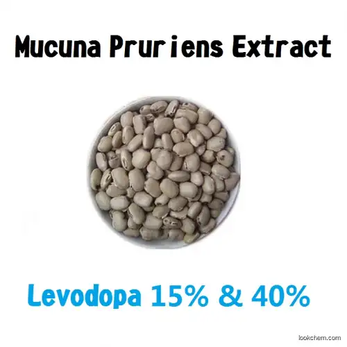 Mucuna pruriens Extract