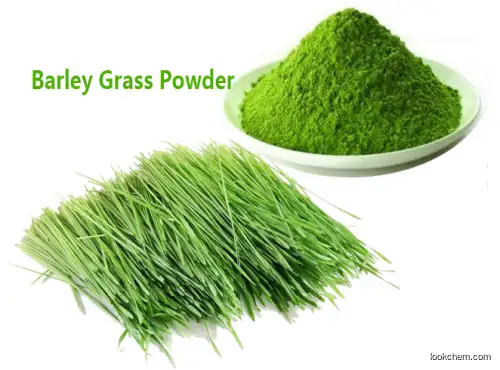 Healthy Natural Wheat Grass Juice Powder Superoxide dismutase Price