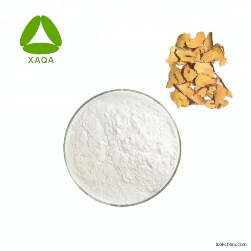 Bitter Sophora Root Extract Oxymatrine 98% Ammothamnine HPLC Powder