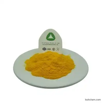 Water soluble Human Supplement Folic Acid / Vitamin B9 powder CAS 59-30-3
