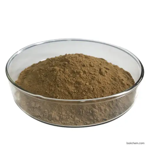 Lose Weight Senna Leaf Extract Powder 1%-20% Sennoside