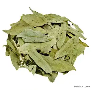 Senna Leaf Extract Powder 20% Sennoside Lose Weight