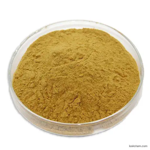 60% natural plant extract CITRUS FIBER with good price