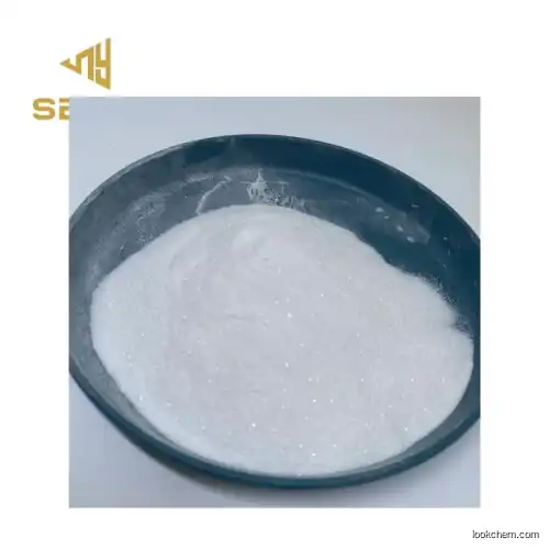 High Purity China Supplier Sell Powder CAS 23239-88-5 Benzocaine HCl