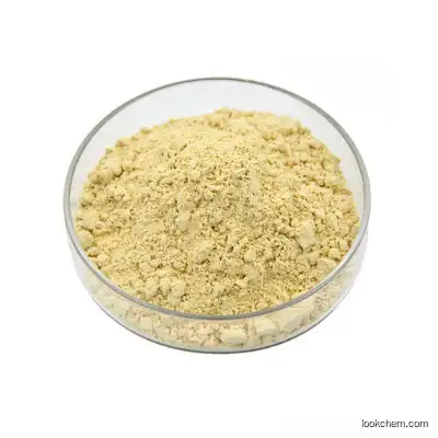 Ginseng Root Extract Ginsenoside 80% Rg3 Powder