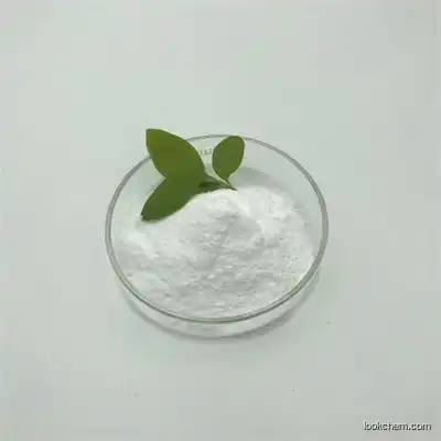 Hydroxypropyl Methylcellulose HPMC     9004-65-3 Chemical Auxiliary Agent