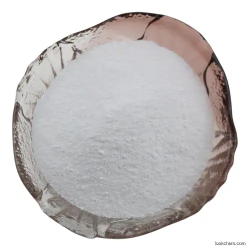 Piracetam powder 7491-74-9