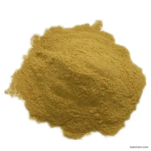 Natural Honeysuckle Extract/5% Chlorogenic Acid HPLC