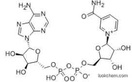 β-Diphosphopyridine nucleotide(NAD+) 53-84-9