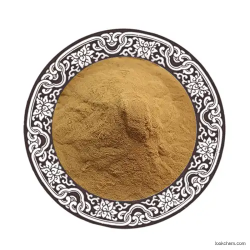 100% natural of Ginger Root Extract 6-Gingerol 98% CAS 23513-14-6 with water soluble