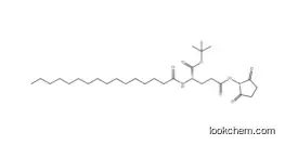 Nε-PalMitoyl-L-glutaMic Acid γ-SucciniMidyl-α-tert-butyl Ester