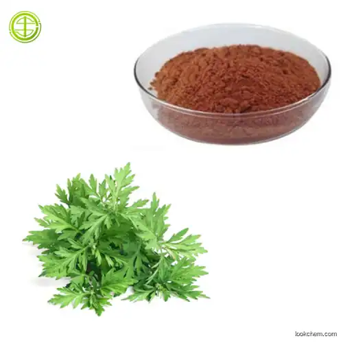 wholesale Chinese Mugwort Leaf Extract powder For Health Care