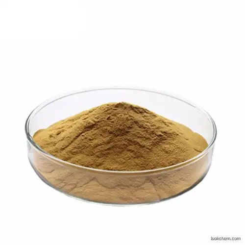 Supply High Quality Olive Leaf Extract Hydroxytyrosol Powder 10% 20% 40% Oleuropein