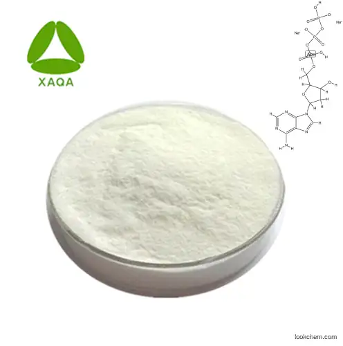 Wholesale Supply Thickening Agent 99% Guar Gum Powder